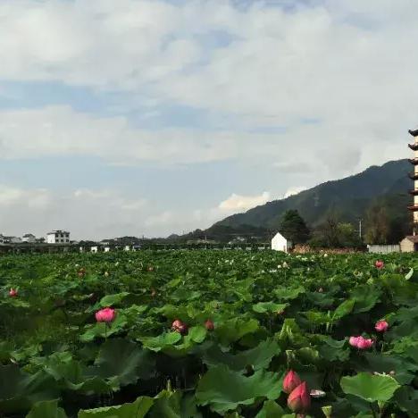 (剑舞江南手游下载)剑舞江湖游戏：探索武侠世界的奇幻旅程与战斗策略的完美结合
