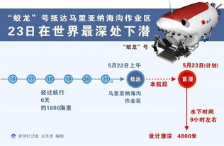 (下潜勒颈动作步骤)深入探索下潜勒颈示范作业教案的教学实践与策略