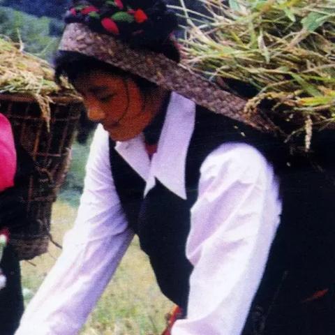 探寻狩猎吧原始人远古兽培养秘笈：哪只远古生物能助你积累实力与资源？