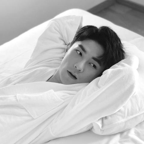 舔狗模拟器免广告无限金币版，让你尽情体验忠犬般的无私奉献！