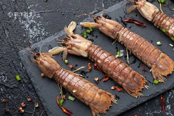 (皮皮虾如何储存)皮皮虾不马上吃怎么存放？存放时要注意哪些方法？