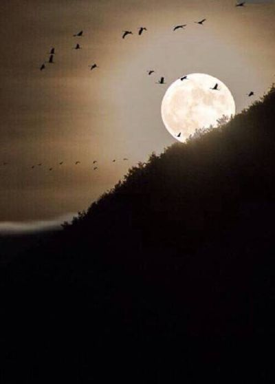 (明月白云不用招)明月无云水不波"的意思和寓意，探寻其中的哲学深意和人生启示