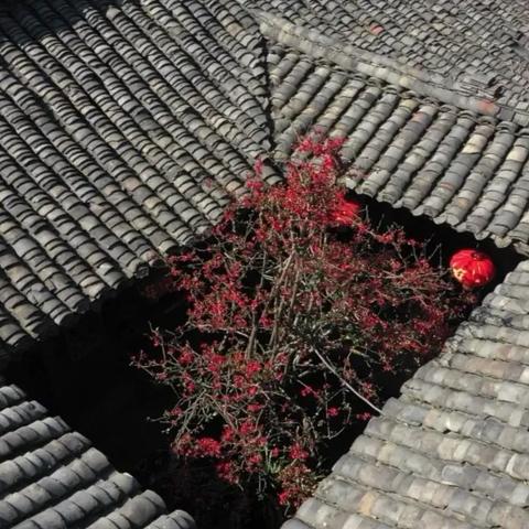 (陶笛曲烟笼长安)在烟笼长安的夜晚，陶笛演奏带你领略古城的韵味与悠扬旋律