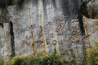 (航海奇闻墙壁有个洞)探秘航海奇闻：穿墙的神秘洞口是什么？