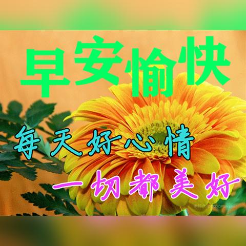 (电脑上短信群发的app软件)最好的短信群发软件电脑版推荐及使用攻略分享 (电脑上短信群发的app软件)最好的短信群发软件电脑版推荐及使用攻略分享