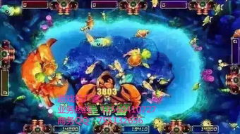 (神捕牌捕鱼器)神手捕鱼技巧大揭秘,一招秒变捕鱼高手,轻松捕到大鱼!