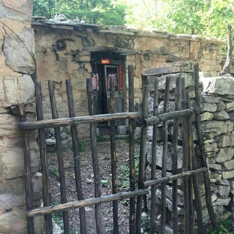 (密林之争)密林纷争：如何选出合适的英雄来转变局势？