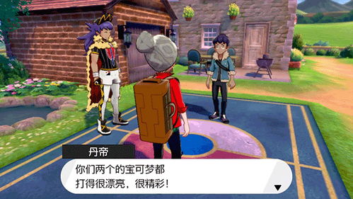 (宝可梦剑盾全精灵捕捉地点一览)宝可梦剑盾一周目必抓攻略：如何找到并捕捉所有必要的精灵？