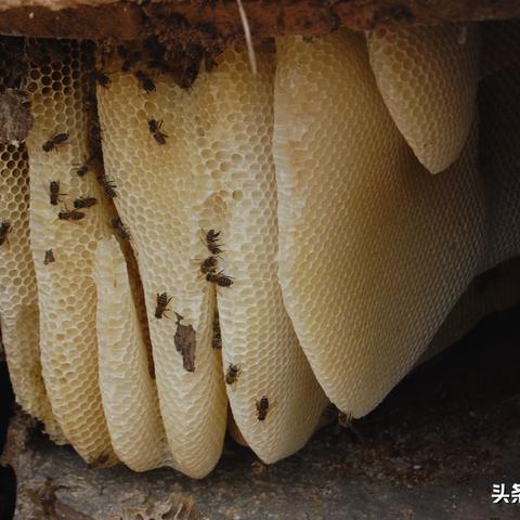 不放弃,坚持到底,手游百年的等待终将有答案揭晓 不放弃,坚持到底,手游百年的等待终将有答案揭晓