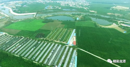 (云南蜂窝农业科技有限公司)全方位指南:探索云南的蜂窝网络旅游攻略与实用建议