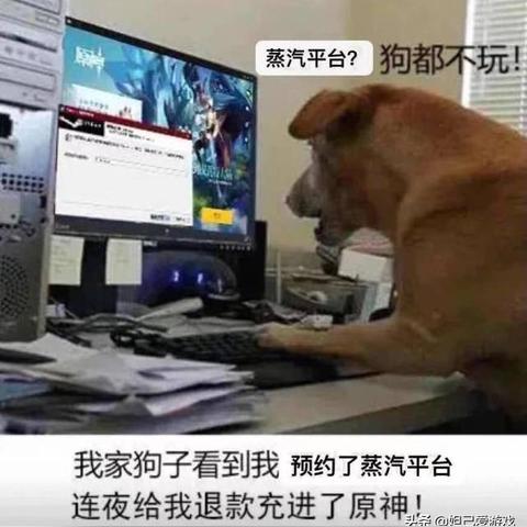 (闪烁之光bug)探寻闪烁之光内部奥秘:是否存在内部号码?