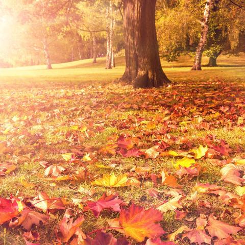 深度解析：挖掘卷帘西风笔下最具影响力的三部作品，聚焦其独特的风格与人性思考