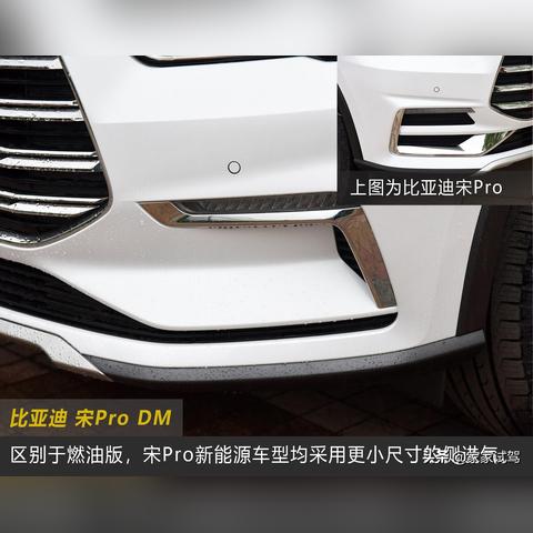 (龙之王者)探寻龙之王朝:神秘、辉煌与传奇的古代帝国传承及兴衰传奇 (龙之王者)探寻龙之王朝:神秘、辉煌与传奇的古代帝国传承及兴衰传奇