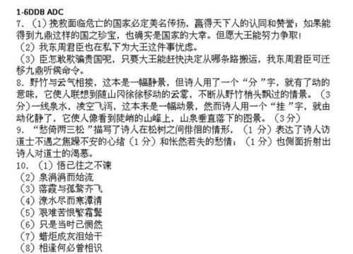 (因果的理解)探讨因果全文的不同维度及其在生活中的重要性和影响力