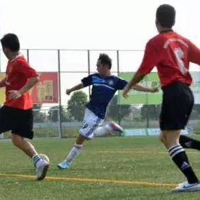 全明星足球手游攻略：从新手到高手的全方位提升技巧与战术解析