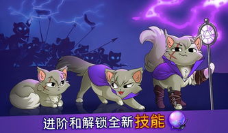 (抓猫咪游戏)让猫咪疯狂欢乐的专属游戏盘点:挠痒痒、追光点、藏猫猫等