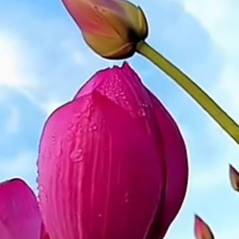 (电脑桌面风景壁纸高清全屏)美丽的电脑桌面风景壁纸全屏:让你的工作空间护眼又养心 (电脑桌面风景壁纸高清全屏)美丽的电脑桌面风景壁纸全屏:让你的工作空间护眼又养心