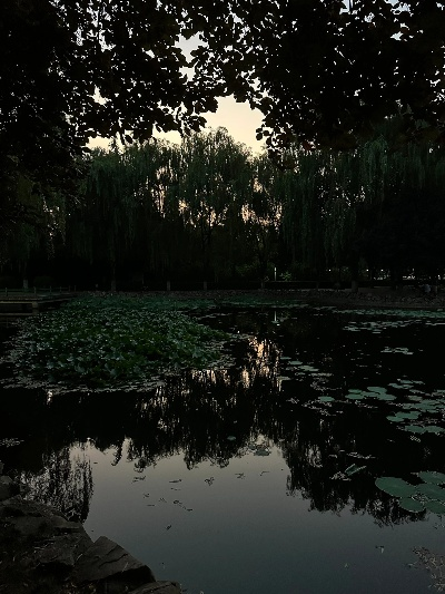 (浮光浅夏的寓意)探寻浮光灼夏的含义:夏天的闪光之光代表着什么? (浮光浅夏的寓意)探寻浮光灼夏的含义:夏天的闪光之光代表着什么?