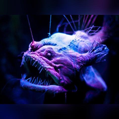 (穿越宇宙视频)穿越宇宙时空,探寻未知世界,免费观看全程旅程 (穿越宇宙视频)穿越宇宙时空,探寻未知世界,免费观看全程旅程