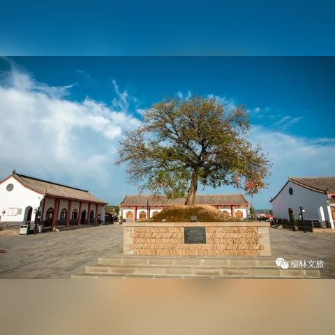 (命运回响百度百科)命运回响手游：探索无尽的轮回与命运交织的冒险世界