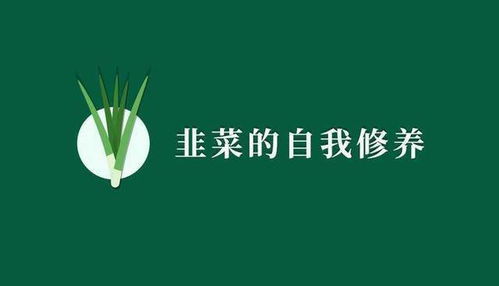 (社畜的出路)打破社畜束缚:探索职场生存与幸福的福报攻略之道 (社畜的出路)打破社畜束缚:探索职场生存与幸福的福报攻略之道