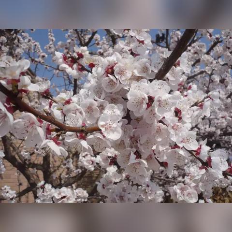 (穿越未知之地:探秘秘境,发现神秘之境的小说)穿越未知之地：探秘秘境，发现神秘之境