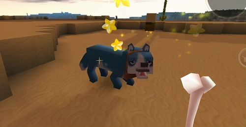 掌握宠兽争斗的技巧与策略:新手必看全面攻略,助你在游戏中称霸对战 掌握宠兽争斗的技巧与策略:新手必看全面攻略,助你在游戏中称霸对战