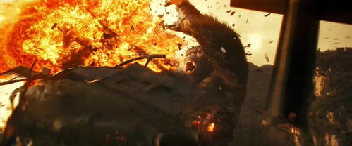 探寻神秘世界：怪兽纪元中，张家界主人如何通过恶战，保护家园并平衡人怪关系的故事