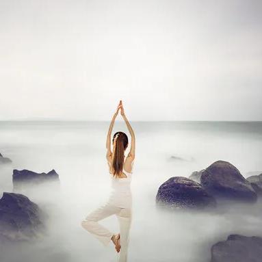 (人体工厂详细图文攻略)探寻人体工厂:解密身体内部所有秘密的答案 (人体工厂详细图文攻略)探寻人体工厂:解密身体内部所有秘密的答案