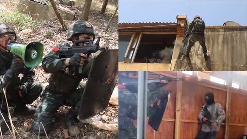 重现历史战争场景,体验惊心动魄:详解战争街区小游戏的玩法与策略 重现历史战争场景,体验惊心动魄:详解战争街区小游戏的玩法与策略