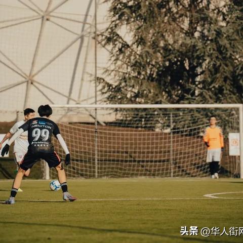 (星空联盟有什么好处)如何通过努力和合作达到星空联盟的最高等级？