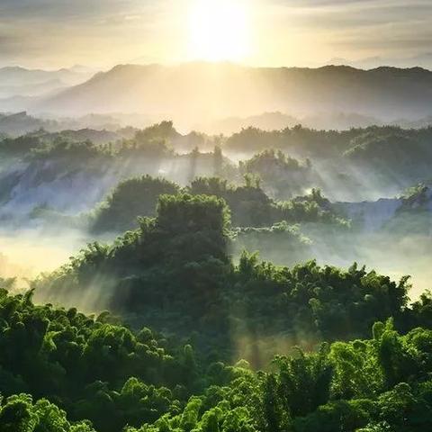 探寻神秘失踪:山海异闻录之妖错图为何突然消失,背后隐藏着怎样的秘密? 探寻神秘失踪:山海异闻录之妖错图为何突然消失,背后隐藏着怎样的秘密?