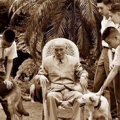 (乱世群雄并起)群雄时代乱世纷争：战略策略大揭秘，如何在乱世中崭露头角？