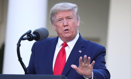 特朗普财政部长人选陷入混沌：猜测频出引发市场担忧，美股未来走向成谜