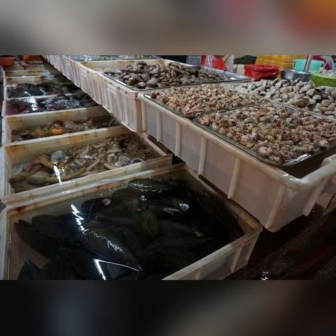 (美味佳肴的味道)在美味佳肴的世界里畅游：一场关于味觉与幸福的日记