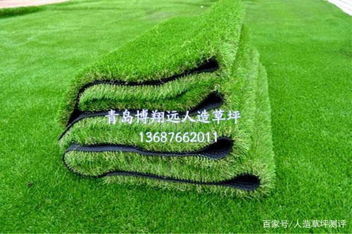 (草坪割草的目的)割草类是什么意思？了解一下这种草坪维护工具的种类和用途