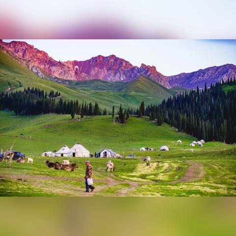 (牧人的幻想作者)牧人的梦幻作品：史诗般的世界和宏伟情节的评述