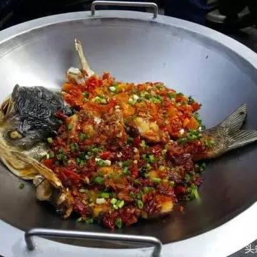 (明日生机安卓版下载)探讨明日生机的深刻含义：如何理解未来的希望与生命的重生