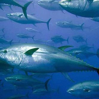 (自由 探索)探索自由之心最强阵容搭配:全面解析最佳角色组合与策略指南 (自由 探索)探索自由之心最强阵容搭配:全面解析最佳角色组合与策略指南