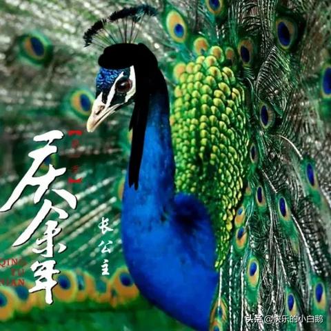 庆余年手游官方网站：最新资讯、下载攻略、福利活动一应俱全，快来一探究竟！