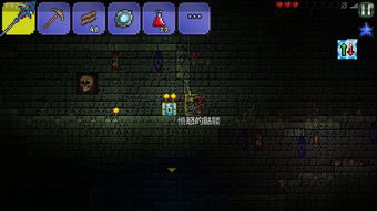 (泰拉瑞亚法狗解说)探索泰拉瑞亚:法狗永恒之魂的奇幻世界,发现无尽可能性 (泰拉瑞亚法狗解说)探索泰拉瑞亚:法狗永恒之魂的奇幻世界,发现无尽可能性