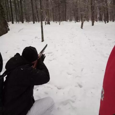 (神之猎场最新版下载)神之猎场兽：探秘神秘生物与狩猎技巧的奇幻旅程