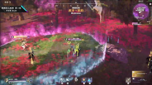 (永劫无间楠枫在哪里直播)永劫无间南枫在哪直播？请问大家知道吗？