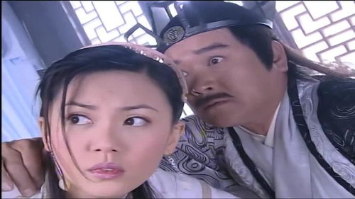 (倚天屠龙记讲述的是哪个朝代的故事)揭秘《倚天屠龙记》：历史来源、文学影响与现代传承的探讨