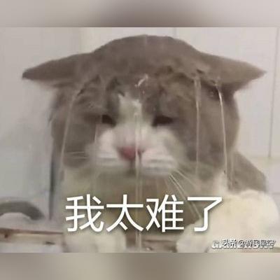 (我有一剑后面是什么)我有一剑一念是谁,揭开天地玄机的真相 (我有一剑后面是什么)我有一剑一念是谁,揭开天地玄机的真相