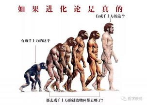 达尔文进化论:自然选择和物种适应在生物进化过程中起到的关键作用 达尔文进化论:自然选择和物种适应在生物进化过程中起到的关键作用