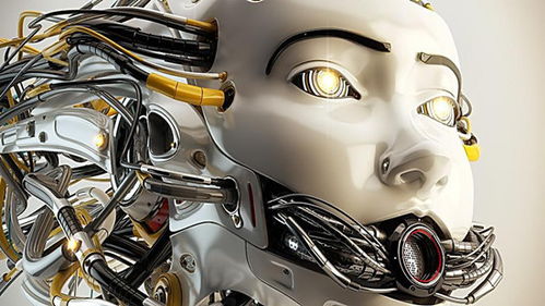 女仆机器人起源第二季:探索人类情感与机器智能的精彩碰撞与未来展望 女仆机器人起源第二季:探索人类情感与机器智能的精彩碰撞与未来展望