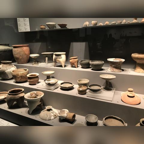 (远古时代生存)远古生存攻略：揭秘古代人如何在野外生存的独特技巧和智慧