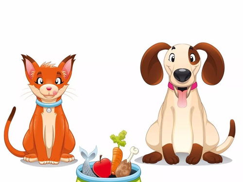 (冰淇淋猫动画片)探索猫猫狗狗冰淇淋:品味无广告的甜蜜世界 (冰淇淋猫动画片)探索猫猫狗狗冰淇淋:品味无广告的甜蜜世界