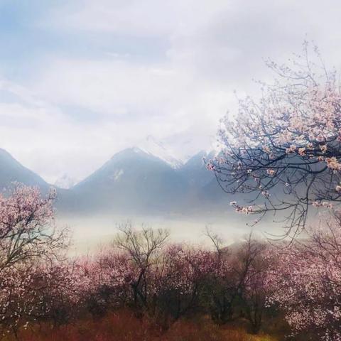 (以仙之名百度百科)以仙之名剧情全部:神秘仙境之旅,揭秘掌控众生的神秘力量 (以仙之名百度百科)以仙之名剧情全部:神秘仙境之旅,揭秘掌控众生的神秘力量